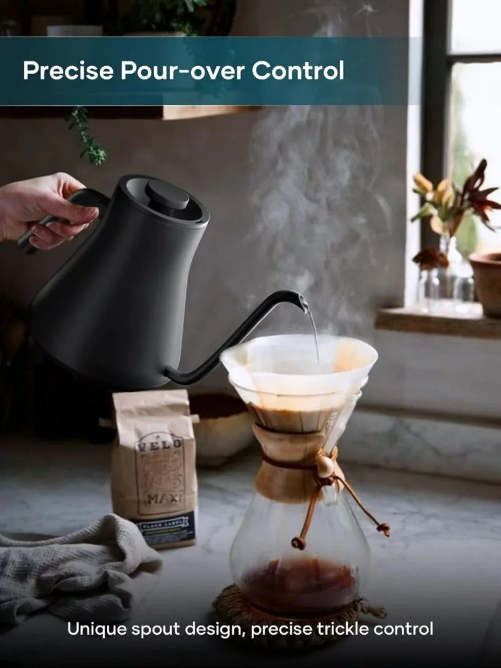 Precision Gooseneck Electric Kettle with ±1℉ Temperature Control, 0.9L, Black